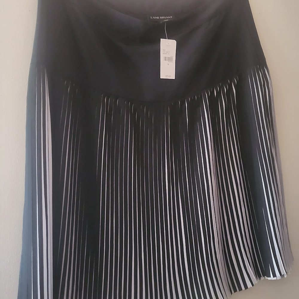 Black Skirt